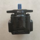 20902698 923829.1264 22677520 J03196.0100 923944.2250 (2)