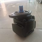 20902698 923829.1264 22677520 J03196.0100 923944.2250 (4)