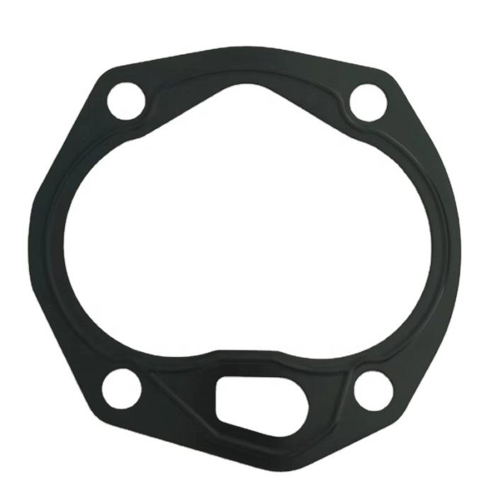 923976.3216 923944.2800 923976.0981 (1) Travel Pump Gasket 231199 920391.001 800811290